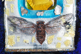 Wall Art Cicada Series l